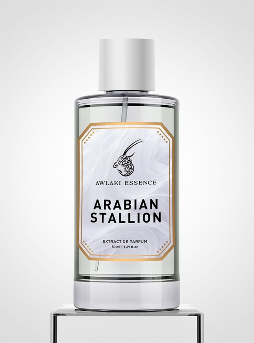 Picture of ARABIAN STALLION